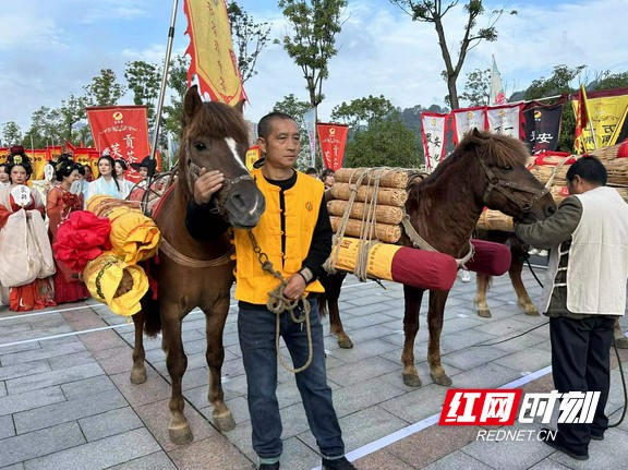 两千人同游安化 再现最美茶文化(图3)