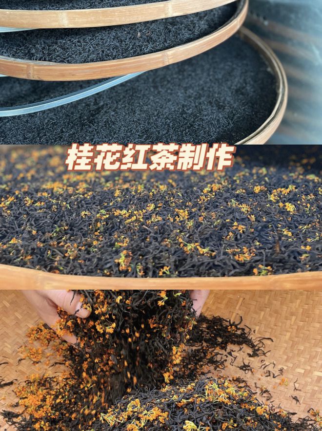 米乐m6官网登录入口送茶具！89元入烘焙桂花红茶正宗好喝回味悠长甘甜花香沉醉迷人(图12)