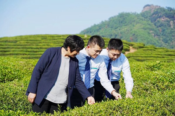 清明假期将至“花”“茶”“食”唱响文旅消费前奏