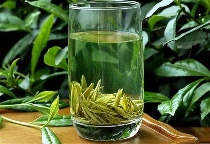 绿茶什么茶好喝一点？这6种茶你喝过几种你家乡产什么茶？(图1)