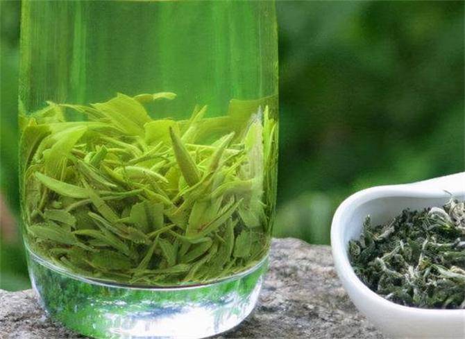 绿茶什么茶好喝一点？这6种茶你喝过几种你家乡产什么茶？(图6)